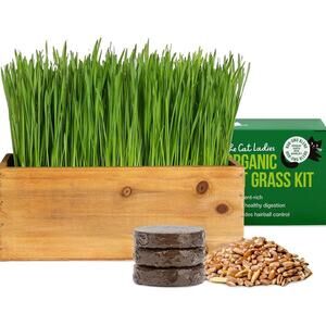Cat Grass Kit with Rustic Wood Planter, Seed and Soil. Easy to Grow for Indoo...